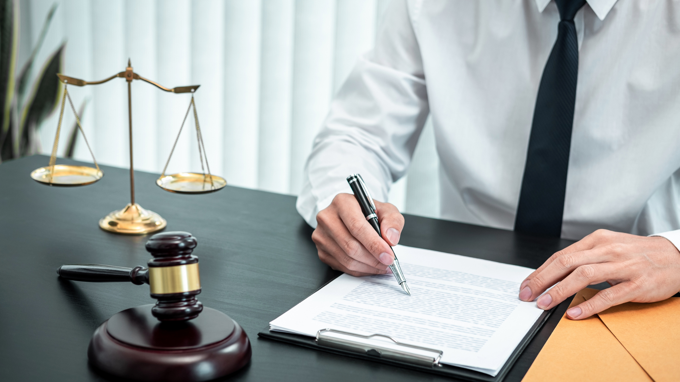Lawyer for an Asylum Case